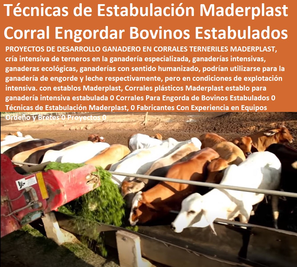 Corrales plásticos Maderplast establo para ganadería intensiva estabulada 0 Corrales Para Engorda de Bovinos Ganaderías Tecnificadas, Explotación Ganadera Automatizada, Sistemas de Pastoreo, Estabulación de Ganado, Pastoreo Intensivo, Establos, Corrales, Saladeros, Comederos, Cerramientos, Postes, Estabulados 0 Técnicas de Estabulación Maderplast, 0 Fabricantes Con Experiencia en Equipos Ordeño y Bretes 0 Proyectos 0 Corrales plásticos Maderplast establo para ganadería intensiva estabulada 0 Corrales Para Engorda de Bovinos Estabulados 0 Técnicas de Estabulación Maderplast, 0 Fabricantes Con Experiencia en Equipos Ordeño y Bretes 0 Proyectos 0